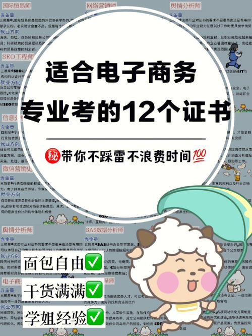 适合电子商务专业的职位