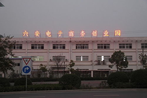 安徽六安电子商务专业