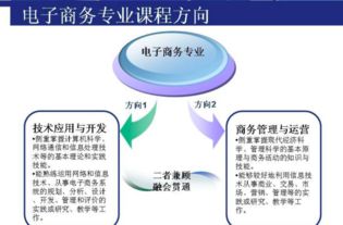 电子商务技术专业好考吗