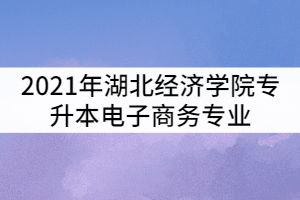 湖北电子商务专业升本