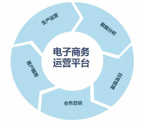 电子商务信息是什么专业