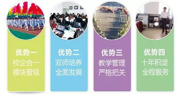 对口电子商务可以选专业嘛