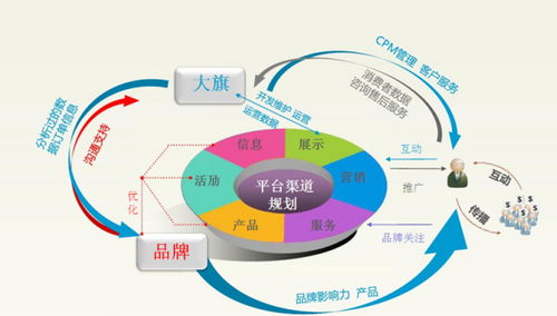 电子商务是学啥的专业