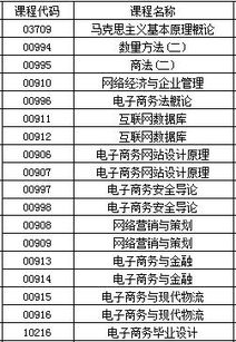 电子商务中级考啥专业好