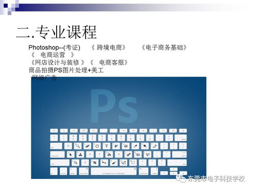 电子商务转计算机专业