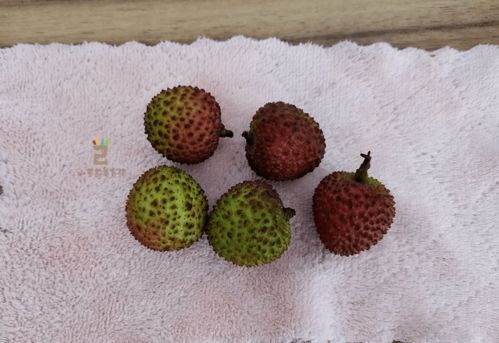 发明荔枝这个吃法的天才，跨界创新，引领味蕾革命