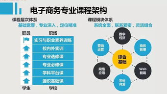 电子商务专业选什么课好