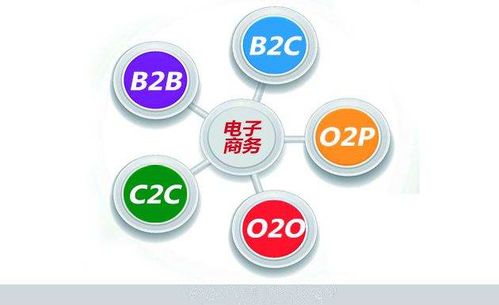 安化电子商务专业通过率