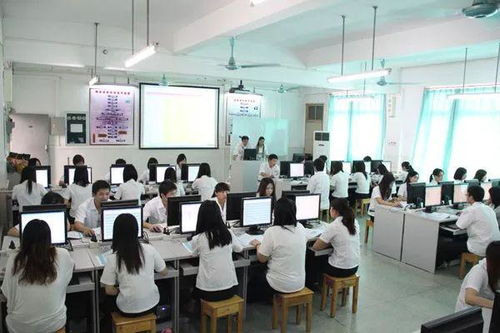 电子商务专业新方向就业